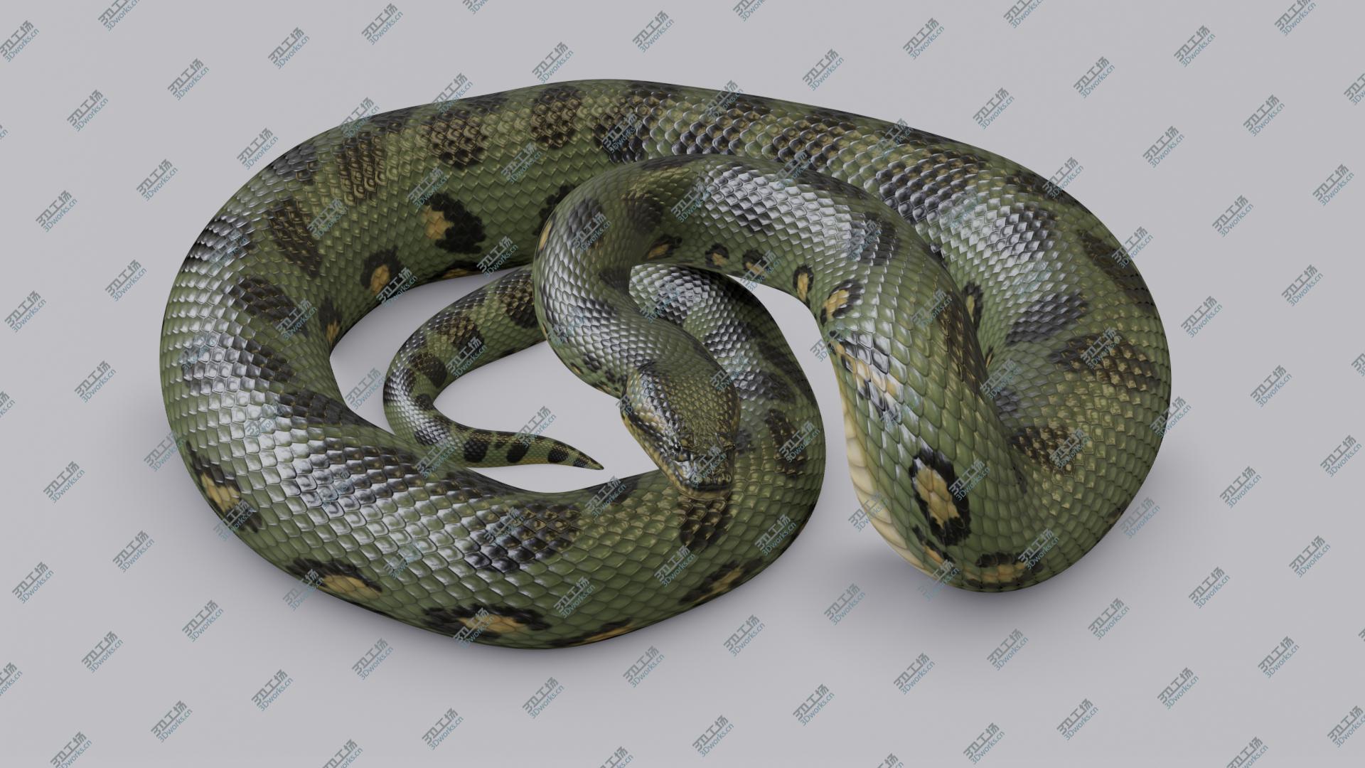 images/goods_img/20210319/3D model Animated Green Anaconda/3.jpg